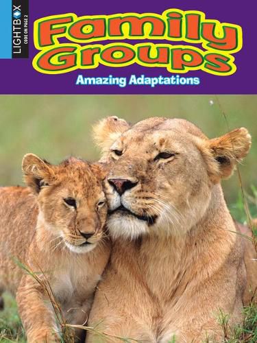 Cover image for Family Groups