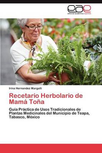 Cover image for Recetario Herbolario de Mama Tona