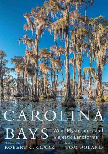 Carolina Bays: Wild, Mysterious, and Majestic Landforms