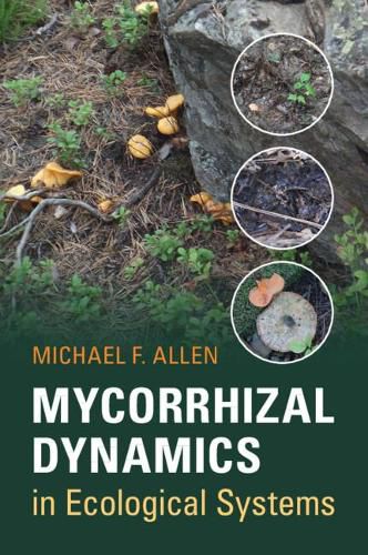 Cover image for Mycorrhizal Dynamics in Ecological Systems