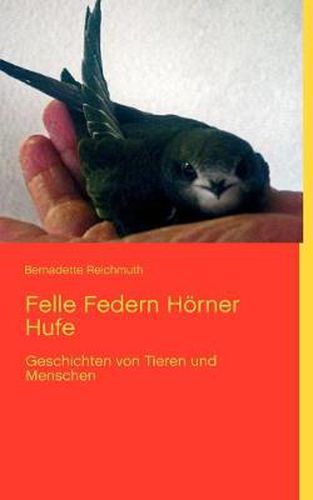 Cover image for Felle Federn Hoerner Hufe: Geschichten von Tieren und Menschen