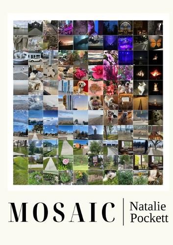 Cover image for Mosaic