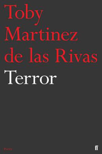 Cover image for Terror