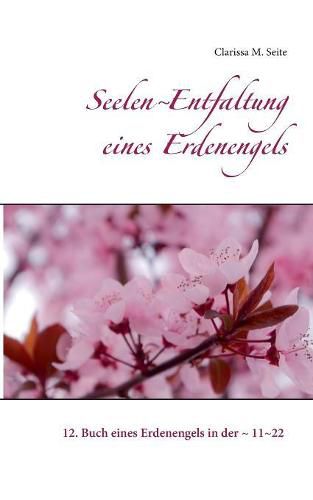 Cover image for Seelen Entfaltung eines Erdenengels: 12. Buch eines Erdenengels in der 11 22