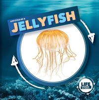 Cover image for Life Cycle of a Jellyfish