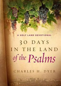 Cover image for 30 Days In The Land Of The Psalms