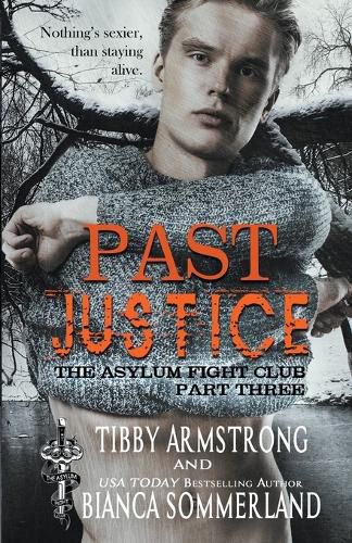 Cover image for Past Justice