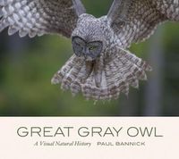 Cover image for Great Gray Owl: A Visual Natural History