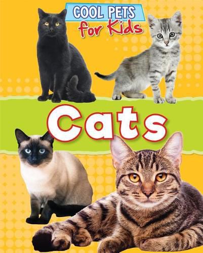 Cover image for Cats