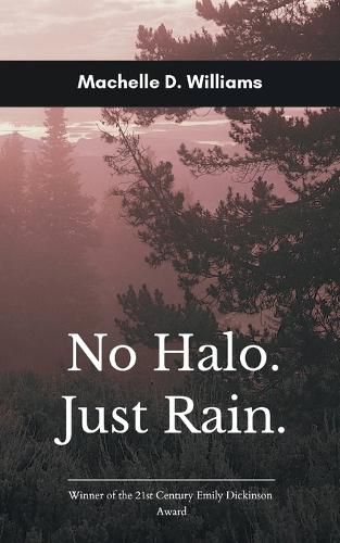 Cover image for No Halo, Just Rain (Edition1st)