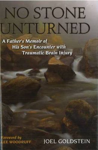 Cover image for No Stone Unturned: A Fatherï¿½s Memoir of His Sonï¿½s Encounter with Traumatic Brain Injury