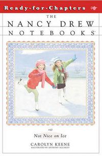 Cover image for Not Nice on Ice
