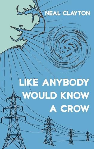 Cover image for Like Anybody Would Know a Crow