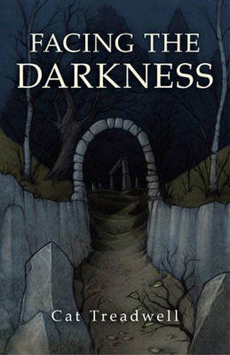 Cover image for Facing the Darkness