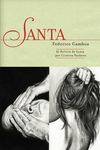 Cover image for Santa y El Delirio de Santa