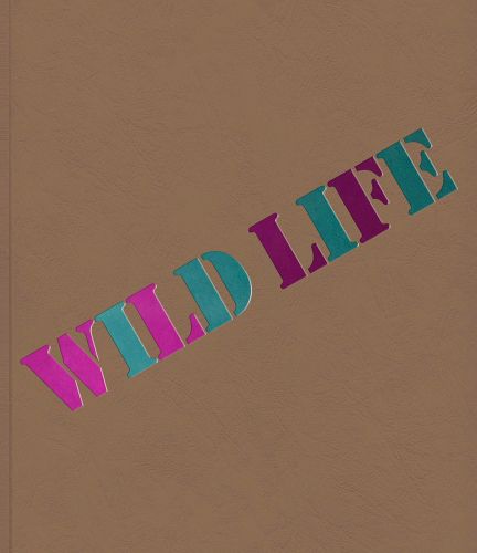 Cover image for Wild Life: Elizabeth Murray & Jessi Reaves