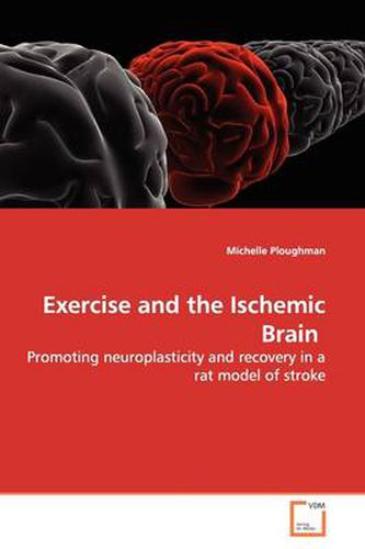 Cover image for Exercise and the Ischemic Brain