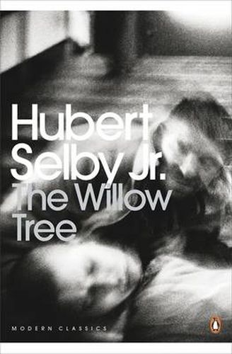 Cover image for The Willow Tree