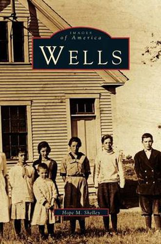 Cover image for Wells