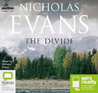 Cover image for The Divide