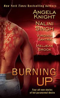 Cover image for Burning Up