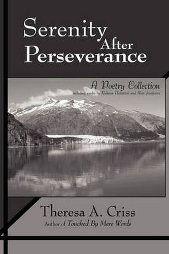 Cover image for Serenity After Perseverance