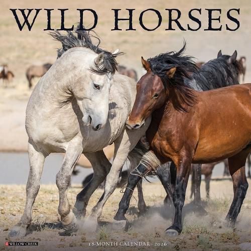 Cover image for Wild Horses 2026 12 X 12 Wall Calendar