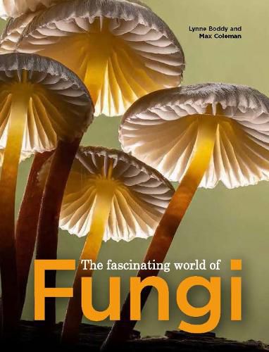 Cover image for The Fascinating World of Fungi
