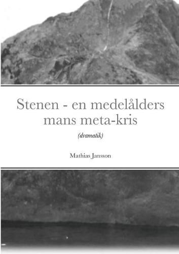 Cover image for Stenen - en medelalders mans meta-kris