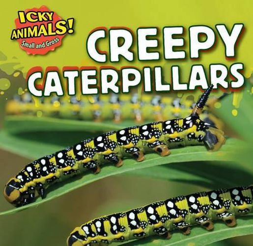 Cover image for Creepy Caterpillars