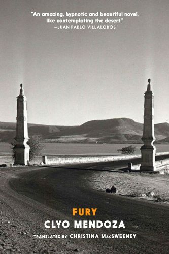 Cover image for Fury