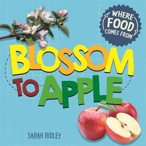 Cover image for Where Food Comes From: Blossom to Apple