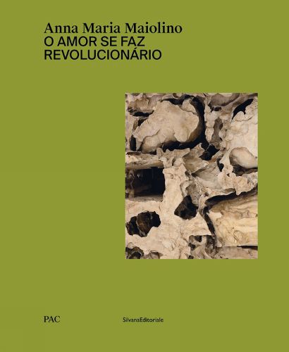 Cover image for Anna Maria Maiolino: O amor se faz revolucionario