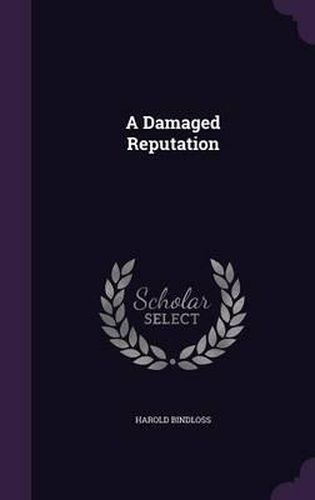 Cover image for A Damaged Reputation