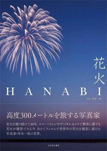Cover image for Fireworks