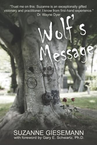 Cover image for Wolf's Message