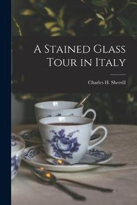 Cover image for A Stained Glass Tour in Italy [microform]