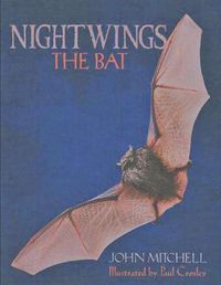 Cover image for Nightwings The Bat