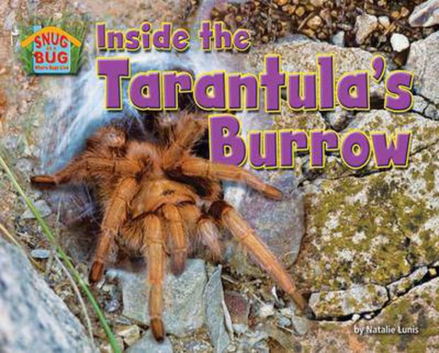 Cover image for Inside the Tarantula's Burrow