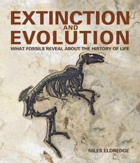 Cover image for Extinction and Evolution: What Fossils Reveal about the History of Life