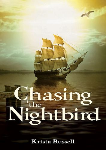 Cover image for Chasing the Nightbird