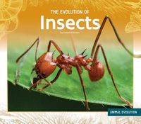 Cover image for The Evolution of Insects