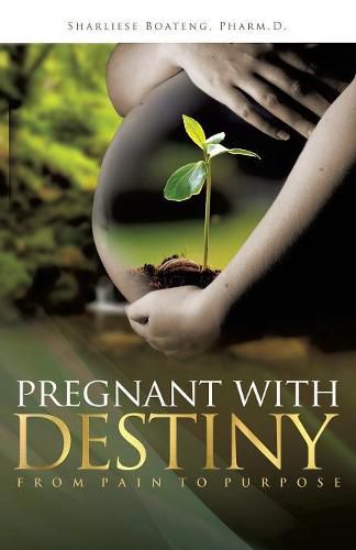 Cover image for Pregnant With Destiny