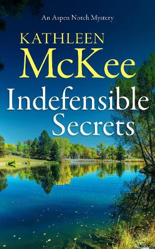 Cover image for Indefensible Secrets