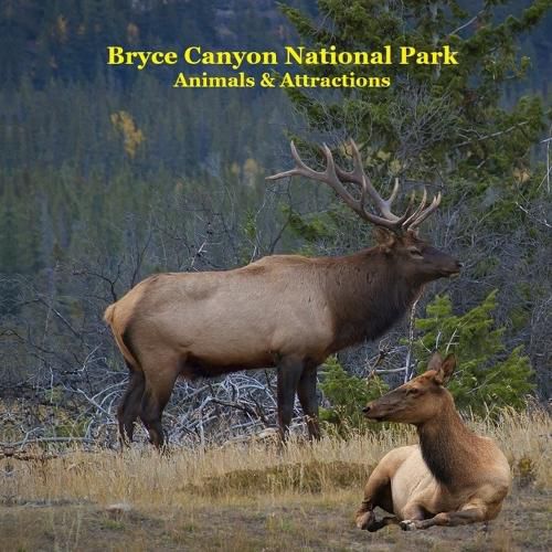 Cover image for Bryce Canyon National Park Animals Attractions Kids Book