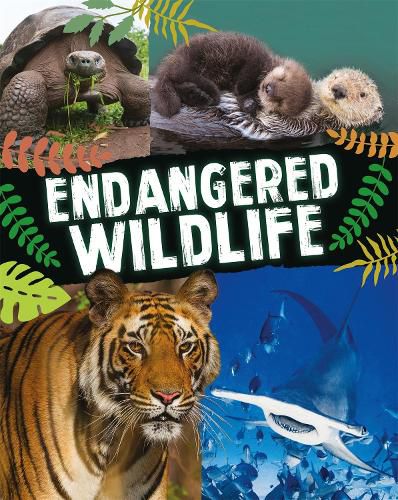 Cover image for Endangered Wildlife