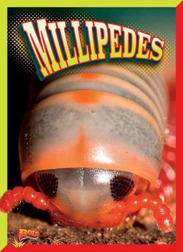 Cover image for Millipedes