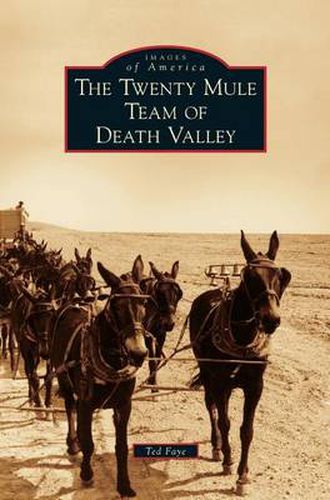 Cover image for Twenty Mule Team of Death Valley