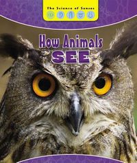 Cover image for How Animals See