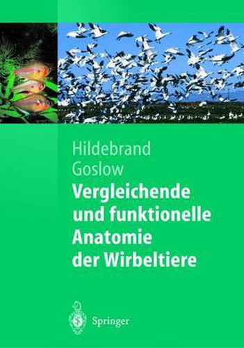 Cover image for Vergleichende und funktionelle Anatomie der Wirbeltiere